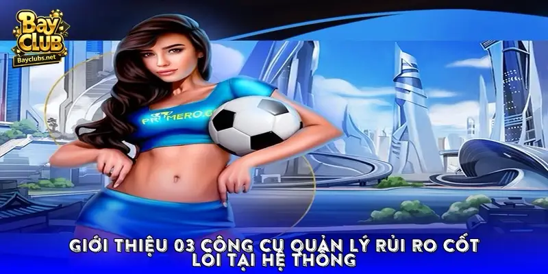 Giới thiệu 03 công cụ quản lý rủi ro cốt lõi tại hệ thống Giới thiệu 03 công cụ quản lý rủi ro cốt lõi tại hệ thống