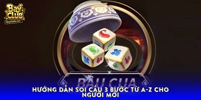 Hướng dẫn soi cầu 3 bước từ A-Z cho người mới